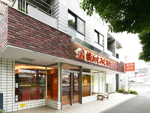 横浜市の動物病院 横浜ドクターズ 横浜市の動物病院 横浜ドクターズ