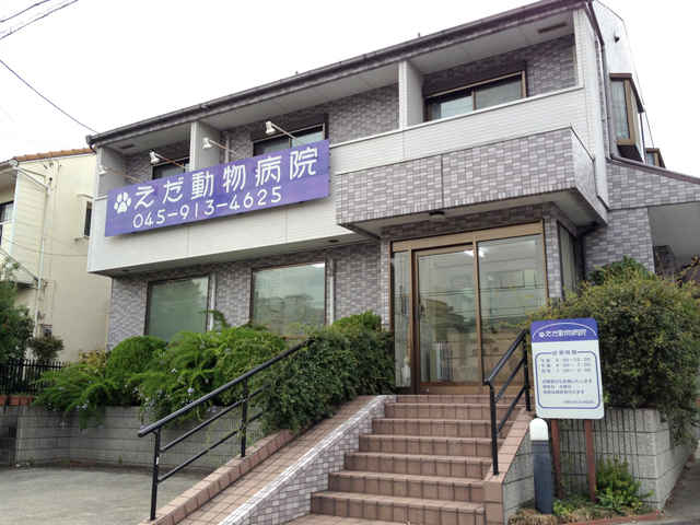 えだ動物病院 江田駅 犬 横浜ドクターズ えだ動物病院 江田駅 犬 横浜ドクターズ