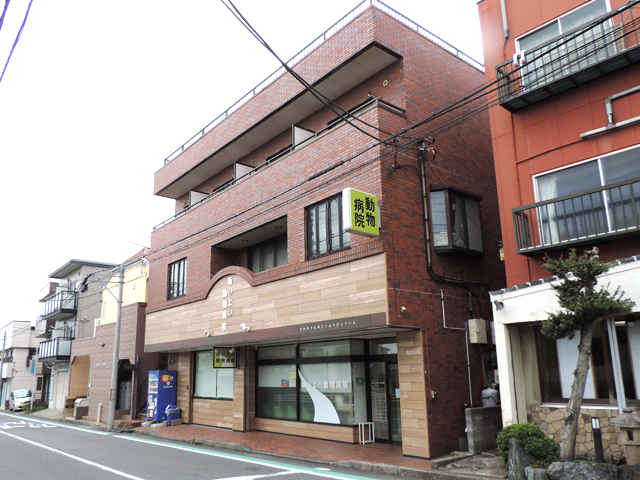 坂の上の動物病院 三ツ沢上町駅 犬 横浜ドクターズ 坂の上の動物病院 三ツ沢上町駅 犬 横浜ドクターズ