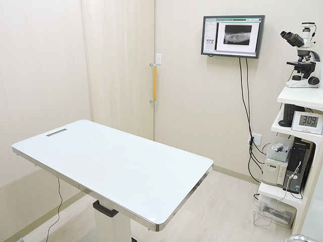 くりの木動物病院 洋光台駅 犬 横浜ドクターズ