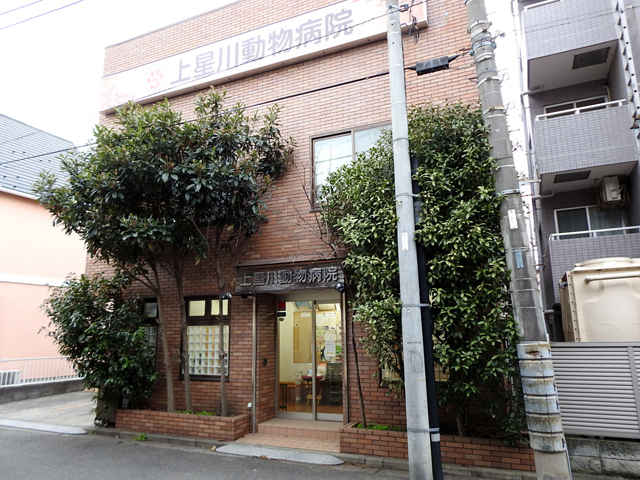 藤井 敏 院長 上星川動物病院 上星川駅 犬 横浜ドクターズ