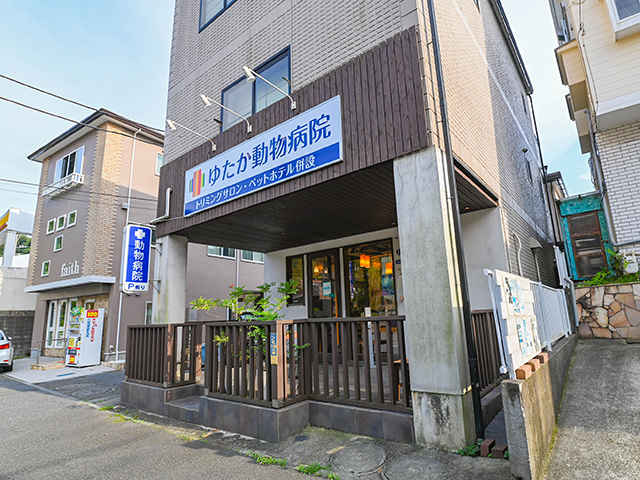 横浜市の動物病院 日 祝日診療可 横浜ドクターズ 横浜市の動物病院 日 祝日診療可 横浜ドクターズ