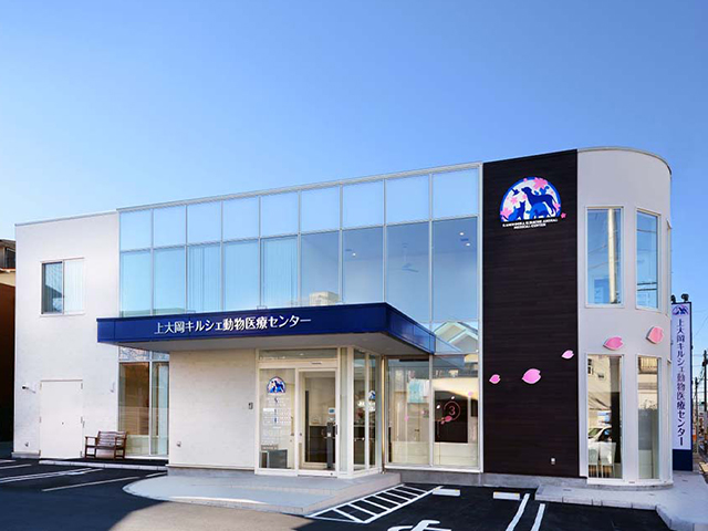 横浜市の動物病院 女性医師 横浜ドクターズ