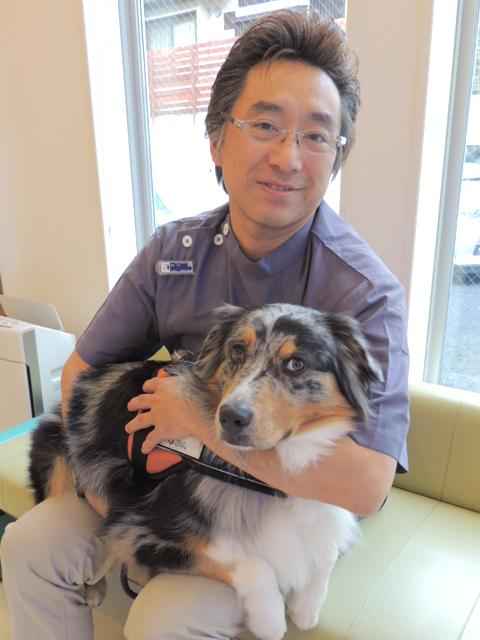 堀川 智生 院長 ベルジェ動物病院 青葉台駅 犬 横浜ドクターズ